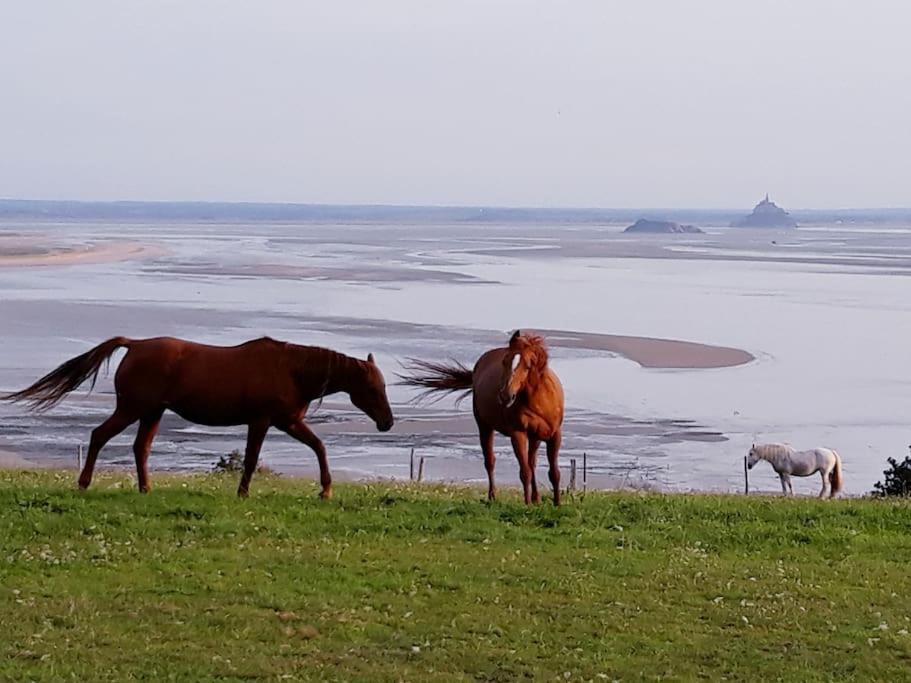 Maison Vue Sur Le Mont Saint Michel Et Sa Baie Champeaux Exterior foto